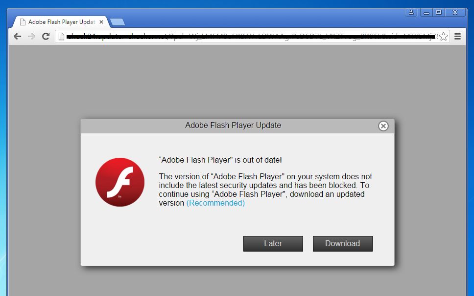 Adobe Flash Player Error Messages